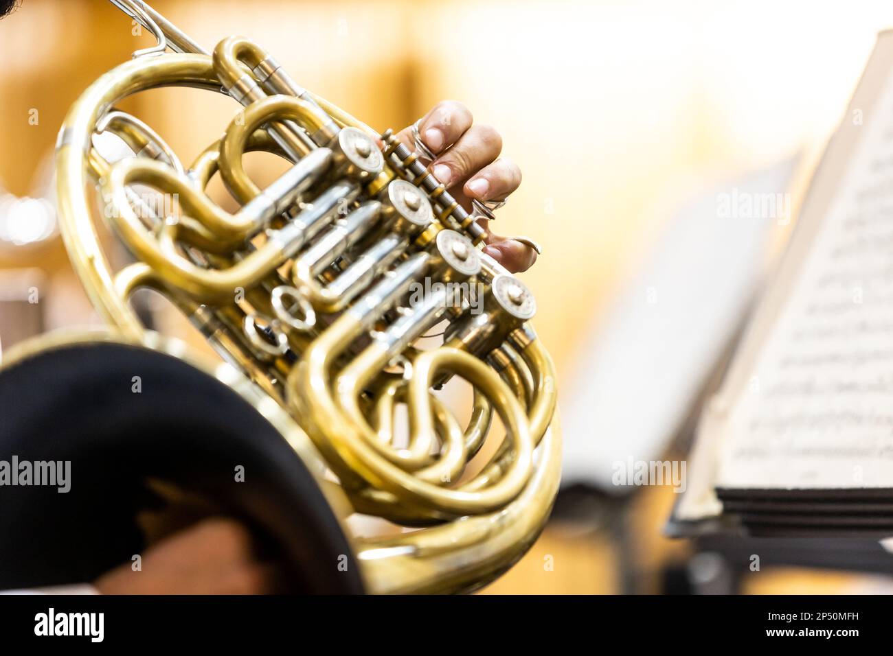 French horn instrument, hands playing horn player in philharmonic
