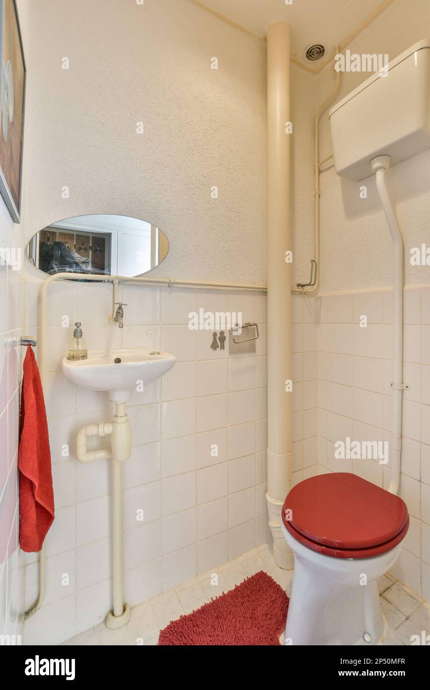 a bathroom with a red rug on the floor and a white toilet in the corner, next to a sink Stock Photo