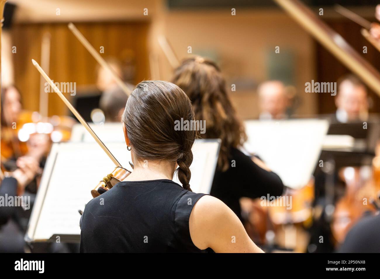 Professional symphonic string orchestra performing on stage and playing