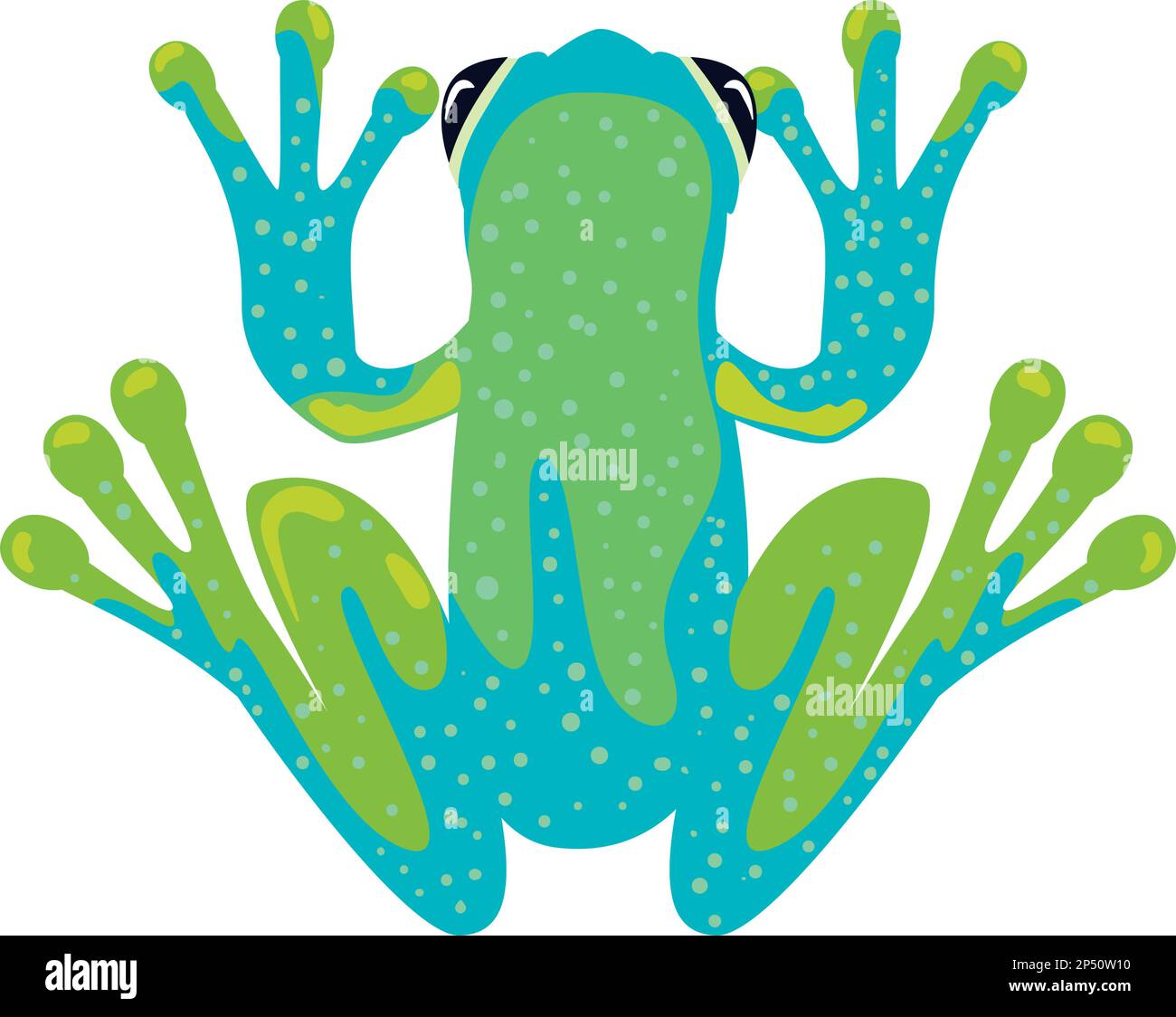 flat frog illustration Stock Vector Image & Art - Alamy