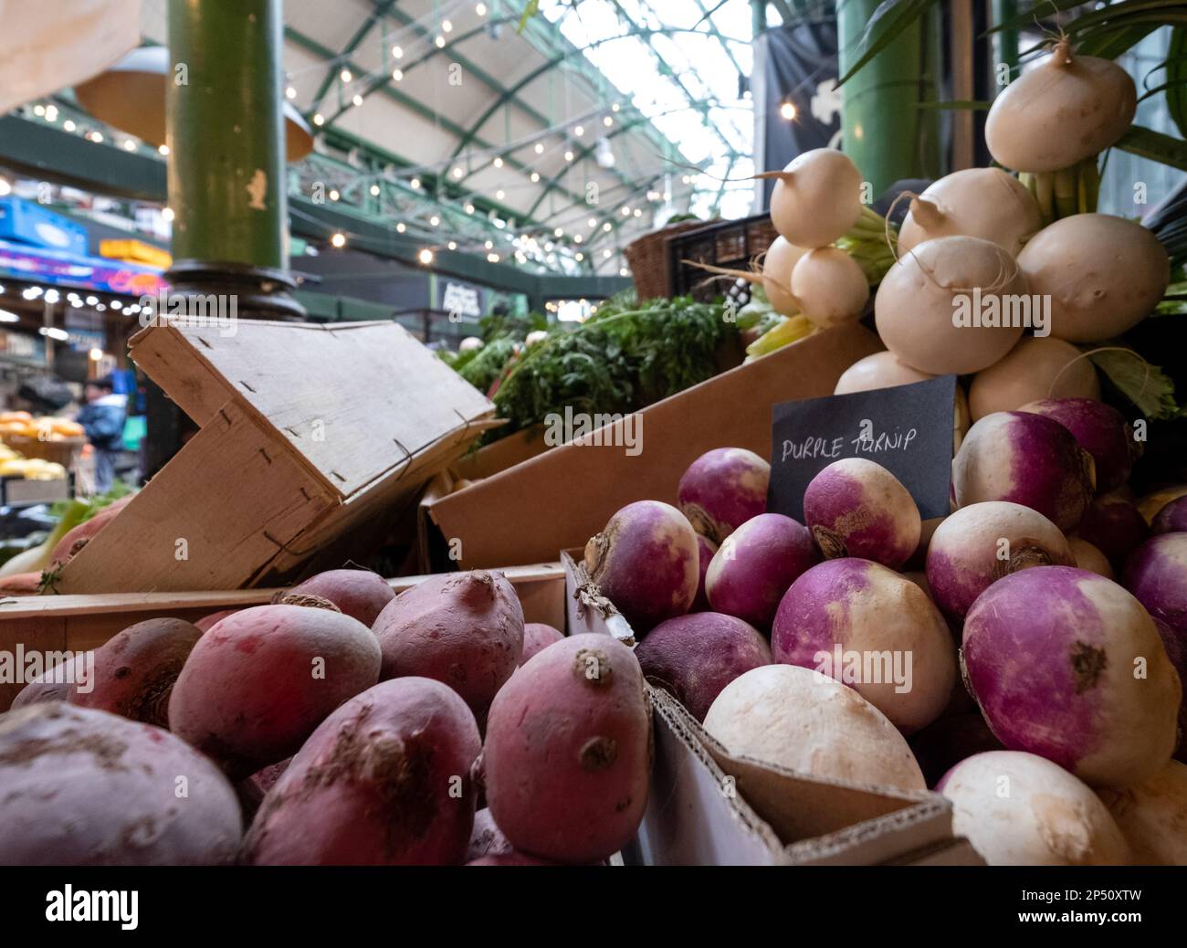 Let them eat turnips hires stock photography and images Alamy