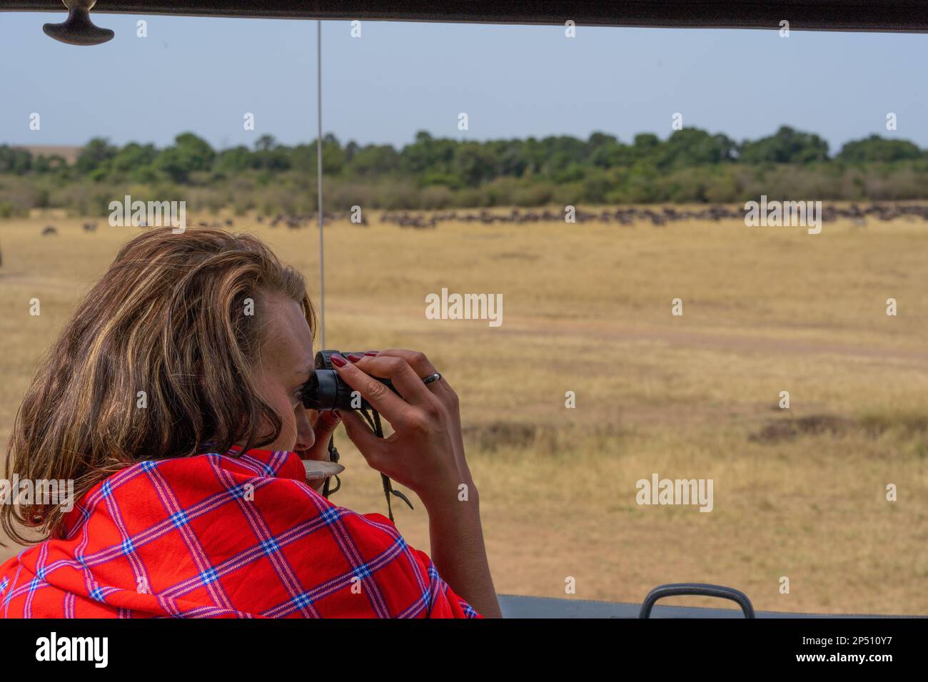 Young female tourist looking through binocular out of a safari vehicle