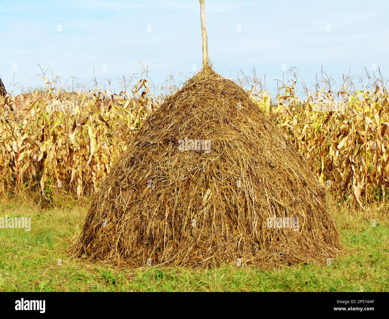 Haystack in a farm hi-res stock photography and images - Alamy