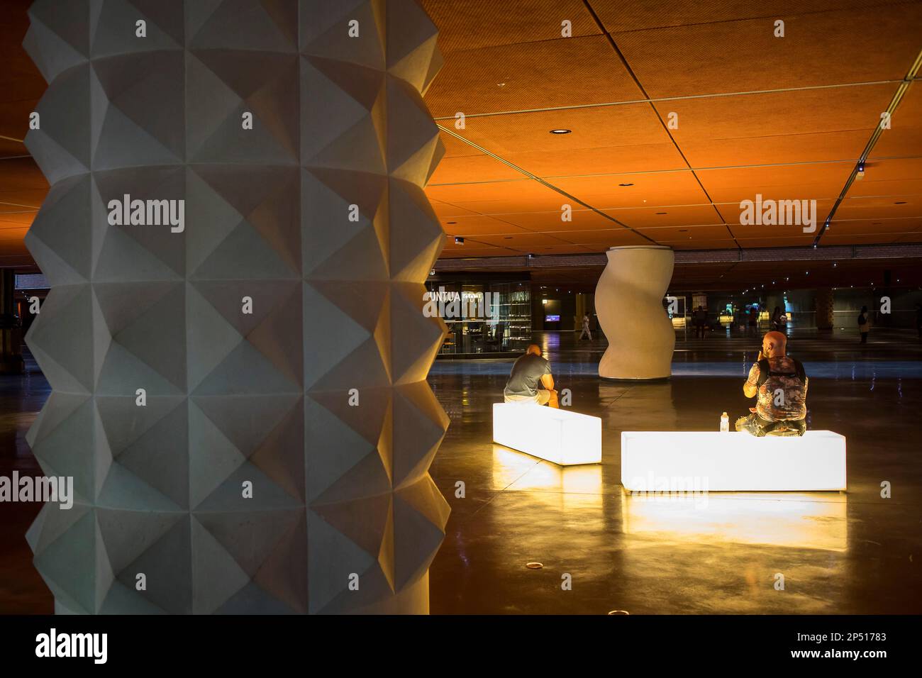 Atrium of cultures, Azkuna Zentroa, Alhondiga building, Bilbao, Bizkaia ...