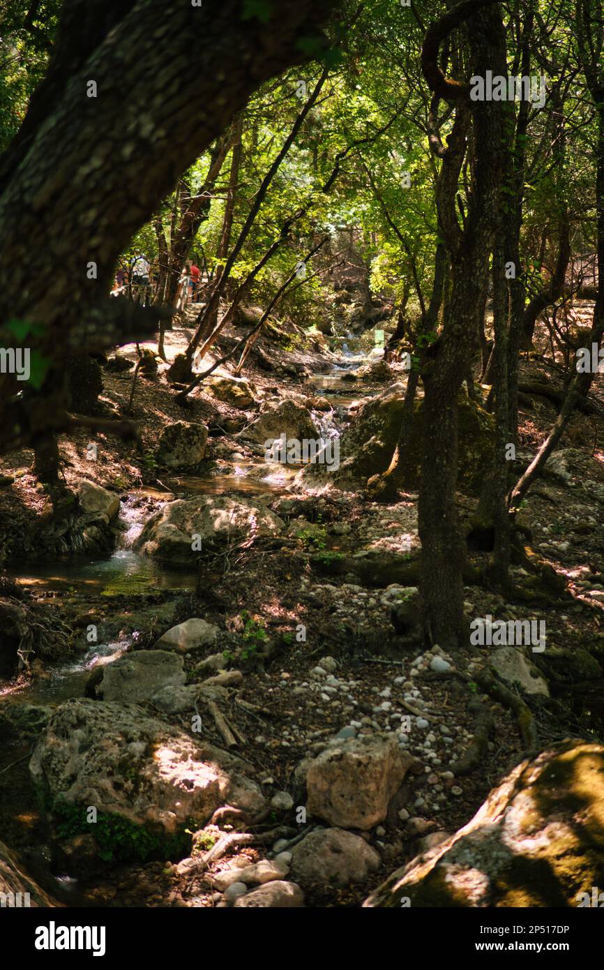small stream in a valley with trees and large stones on the Rhodes island in Greece Stock Photo