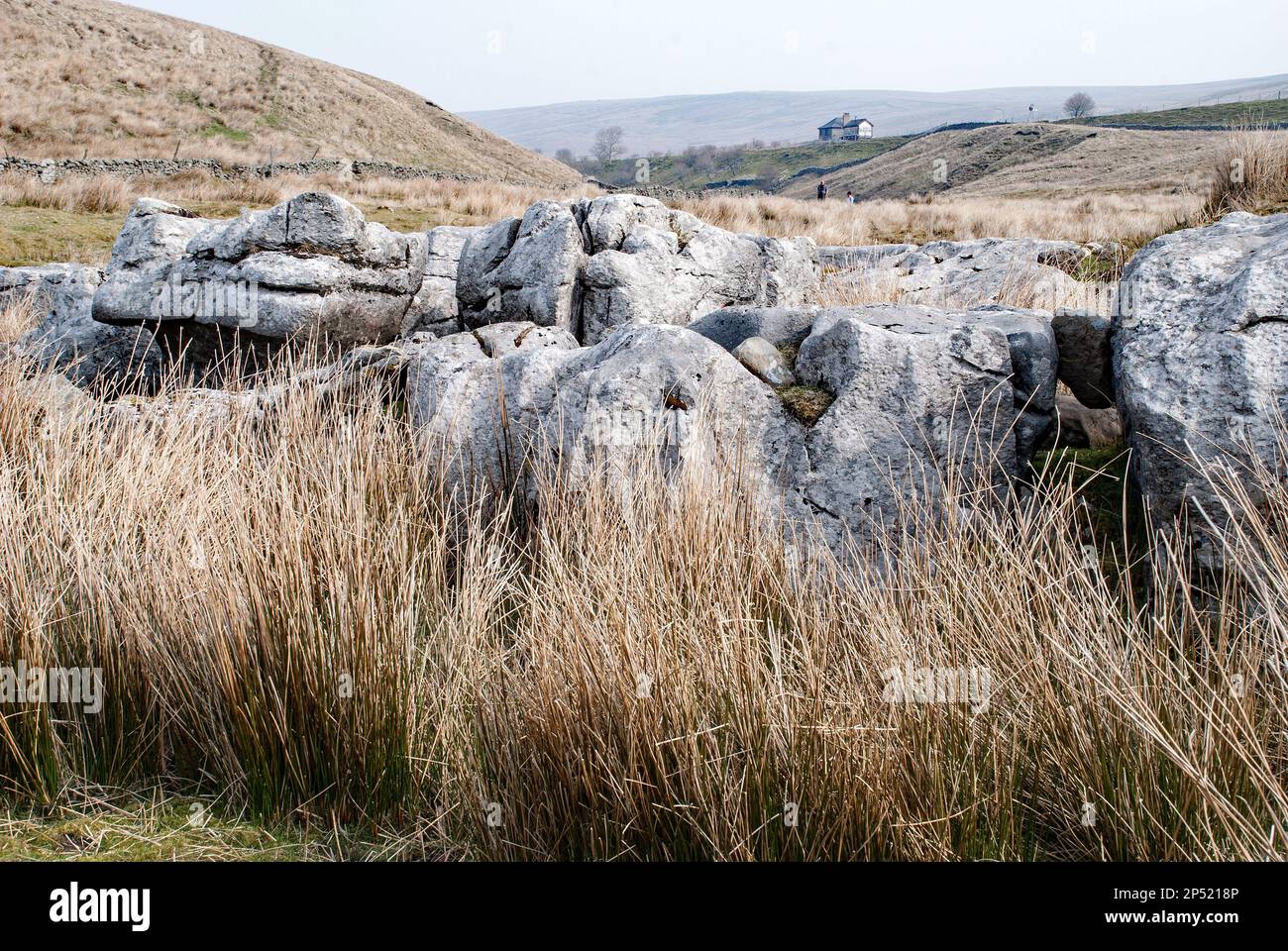 The area beneath Whernside (one of the Yorkshire 'Three Peaks'),in the