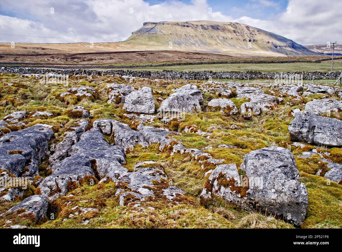 Limestone pavement outcrop below Pen-y-Ghent in the Yorkshire Dales National Park (Pen-y-Ghent one of the Yorkshire 'Three Peaks'.North Yorkshire UK). Stock Photo