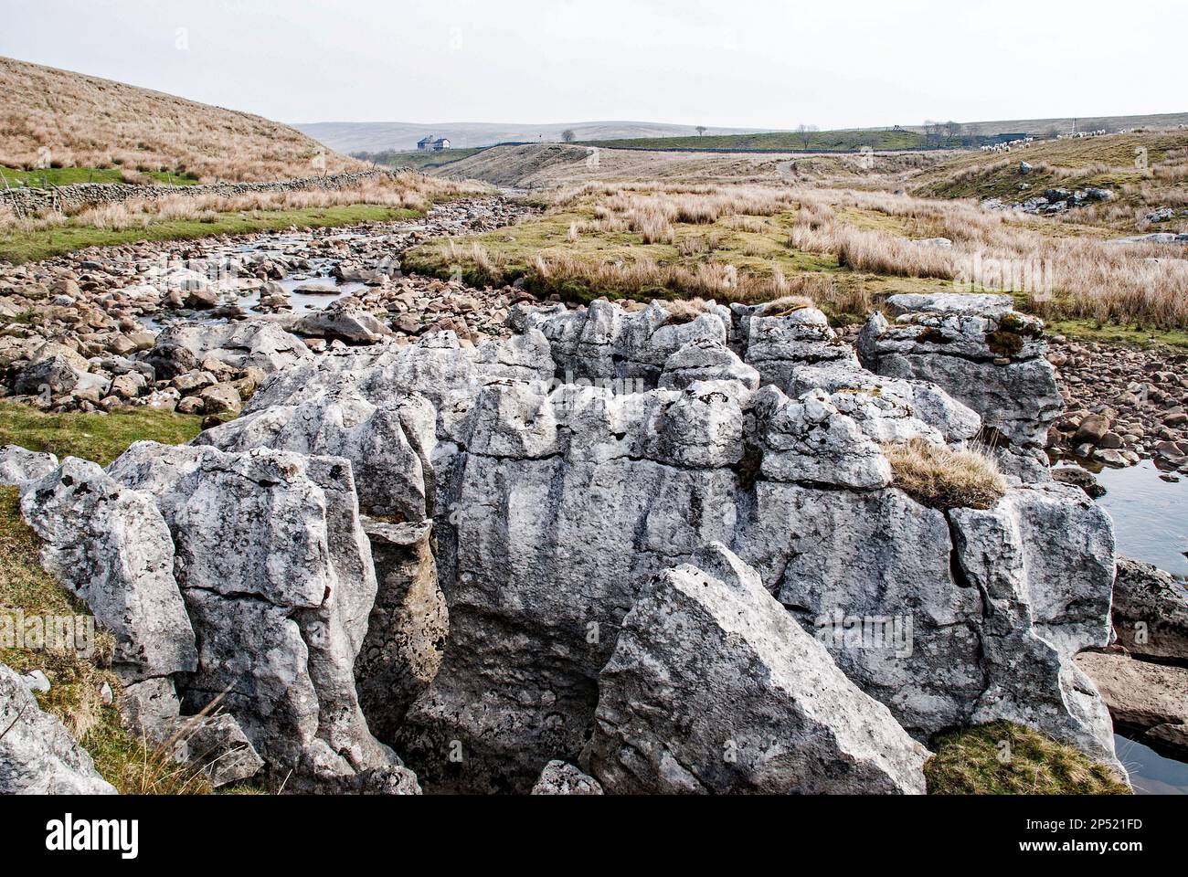 The area beneath Whernside (one of the Yorkshire 'Three Peaks'),in the