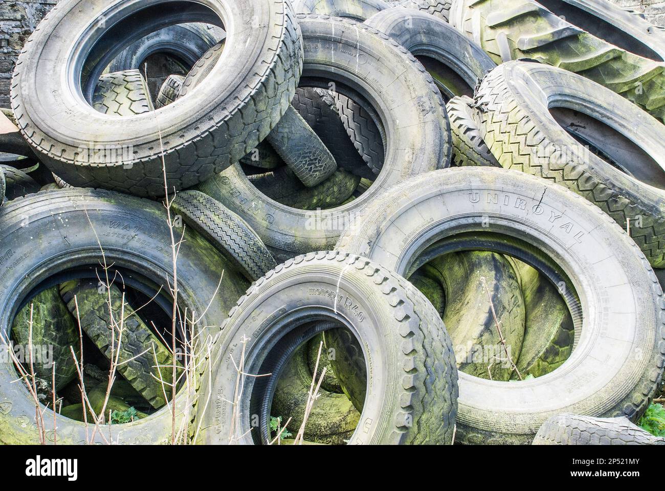Large pile of tyres  on a farm near Sedbusk in North Yorkshire. Repurposed for weighting down silage sheet. Stock Photo