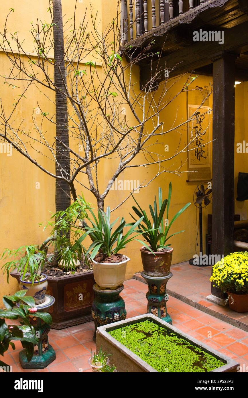 Traditional house hanoi hi-res stock photography and images - Alamy