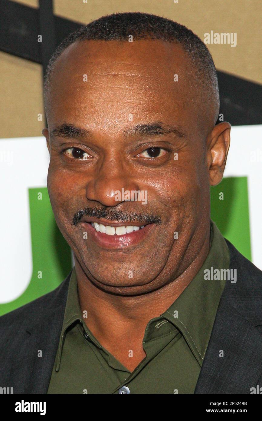 Actor Rocky Carroll attends the CW, CBS and Showtime 2013 summer TCA