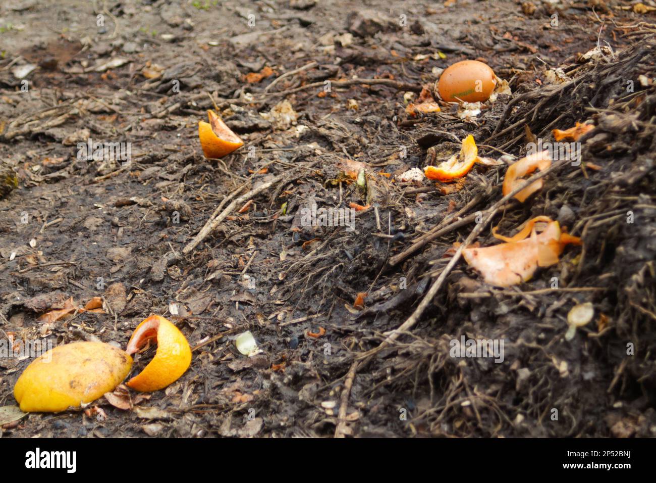 Compost pile. Defocus compost and composted soil cycle as a composting pile of rotting kitchen