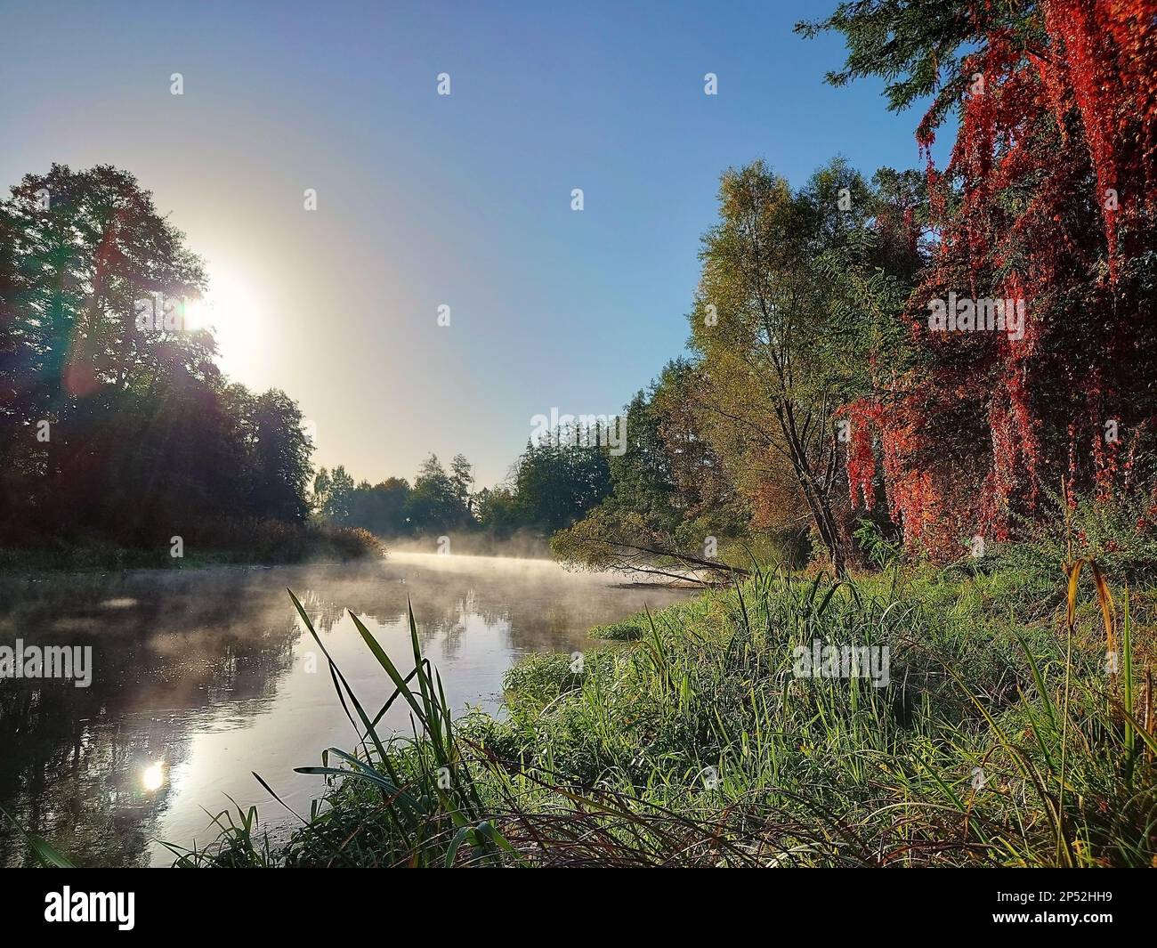 Early Morning Autumn Fog At Müggelspree River, Brandenburg State Stock Photo