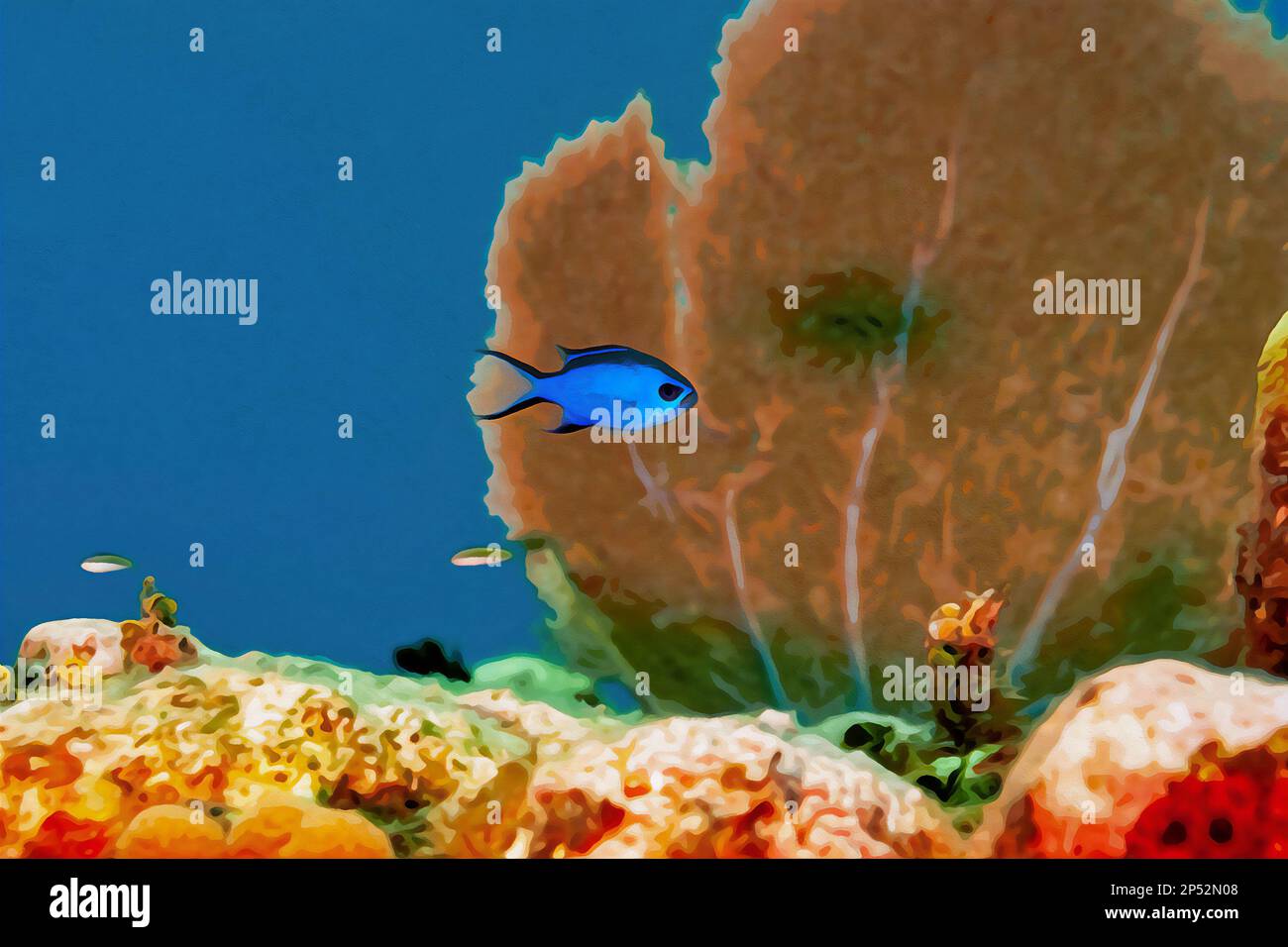 Digitally created watercolor painting of Blue Chromis damelfish Chromis cyanea swimming over the coral reef Stock Photo