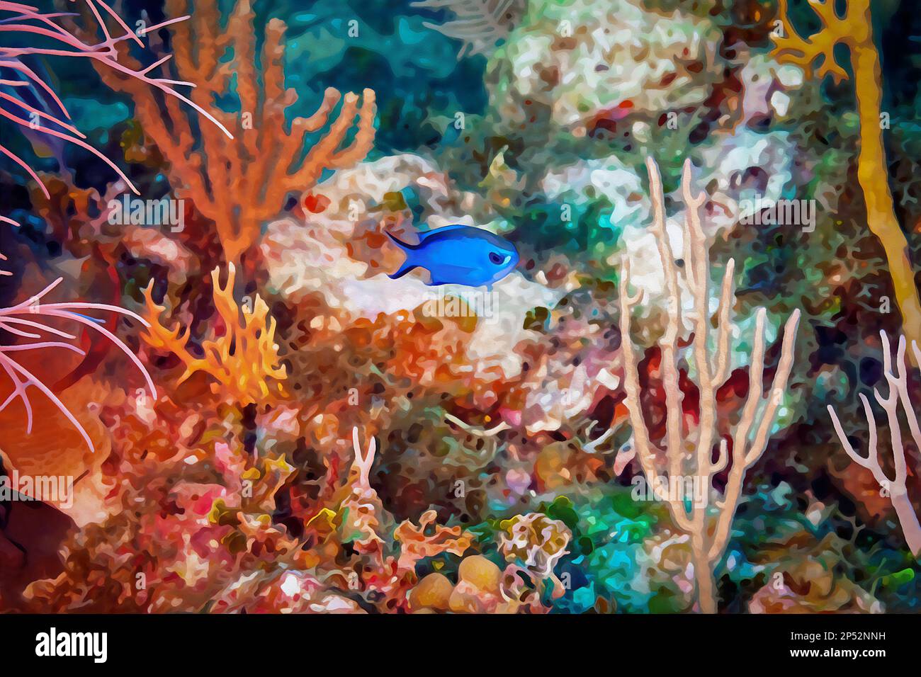 Digitally created watercolor painting of Blue Chromis damelfish Chromis cyanea swimming over the coral reef Stock Photo