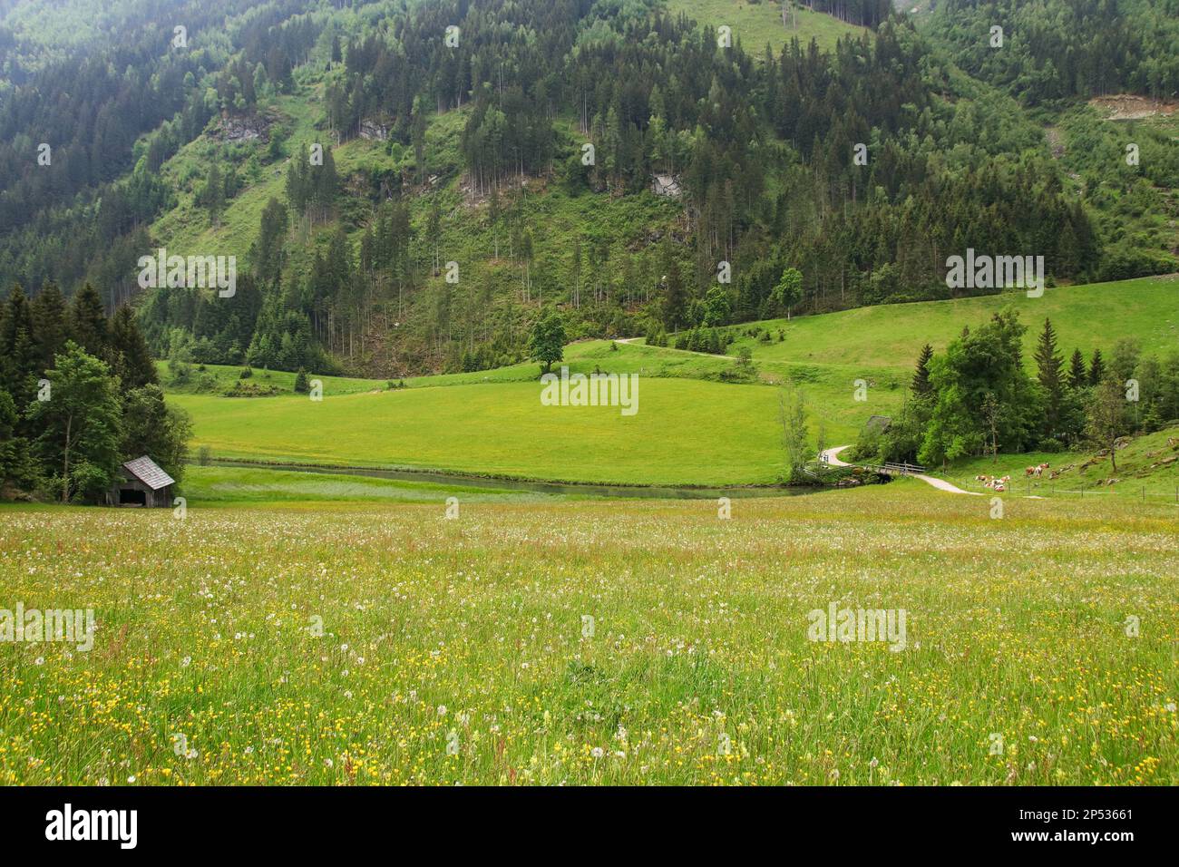 Lets go trekking hi-res stock photography and images - Alamy