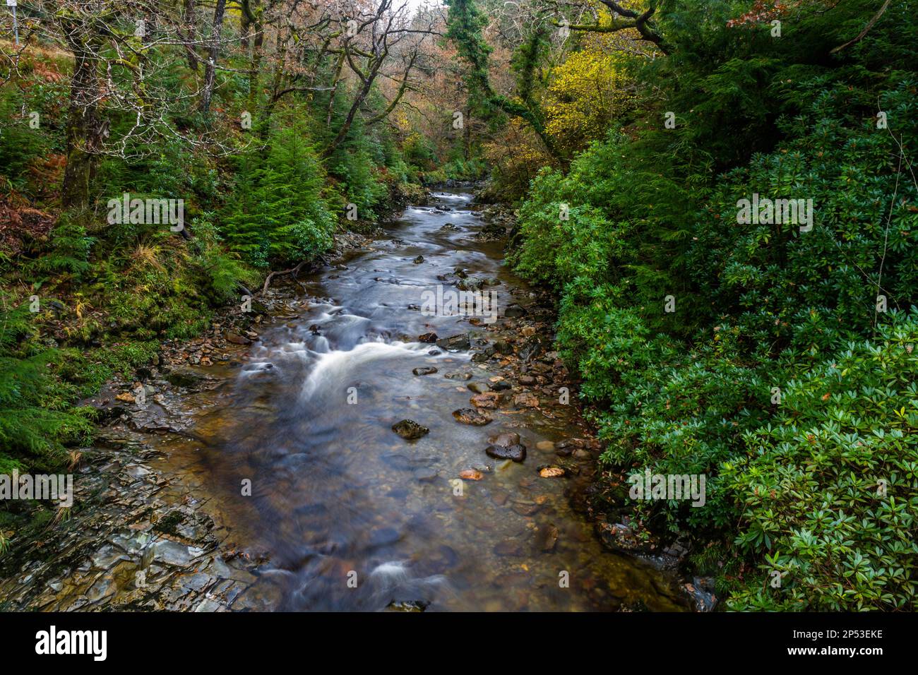 UK river in autumn fall. River Afon Mawddach in Coed y Brenin Forest Park in Autumn, fall near Dolgellau, Snowdonia, North Wales, UK, landscape Stock Photo