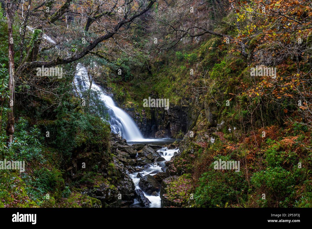 Pistyll y Cain Waterfall in Coed y Brenin Forest Park in Autumn, fall