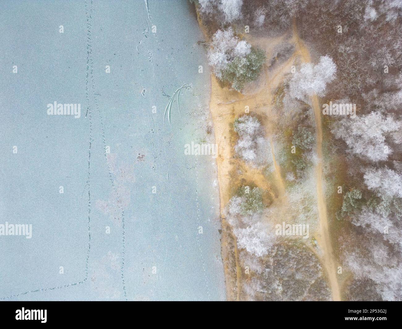 Aerial pine forest edge showing hi-res stock photography and images - Alamy