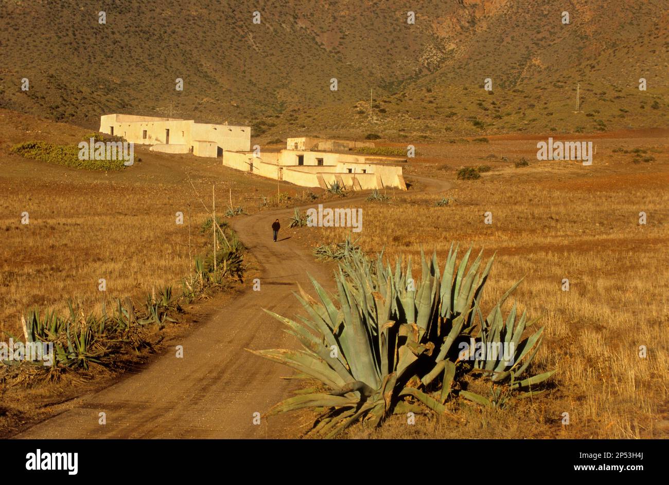 Cortijo de los Genoveses Traditional farmhouse in Campillo de  Genoveses.Cabo de Gata-Nijar Natural Park. Biosphere Reserve, Almeria  province, Andalu Stock Photo - Alamy