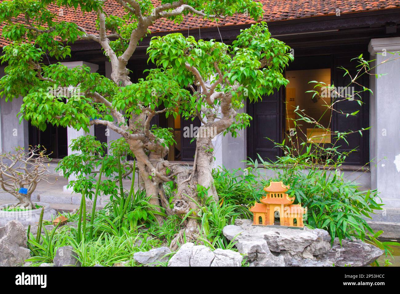 Vietnam, Hanoi, Temple of Literature, Stock Photo