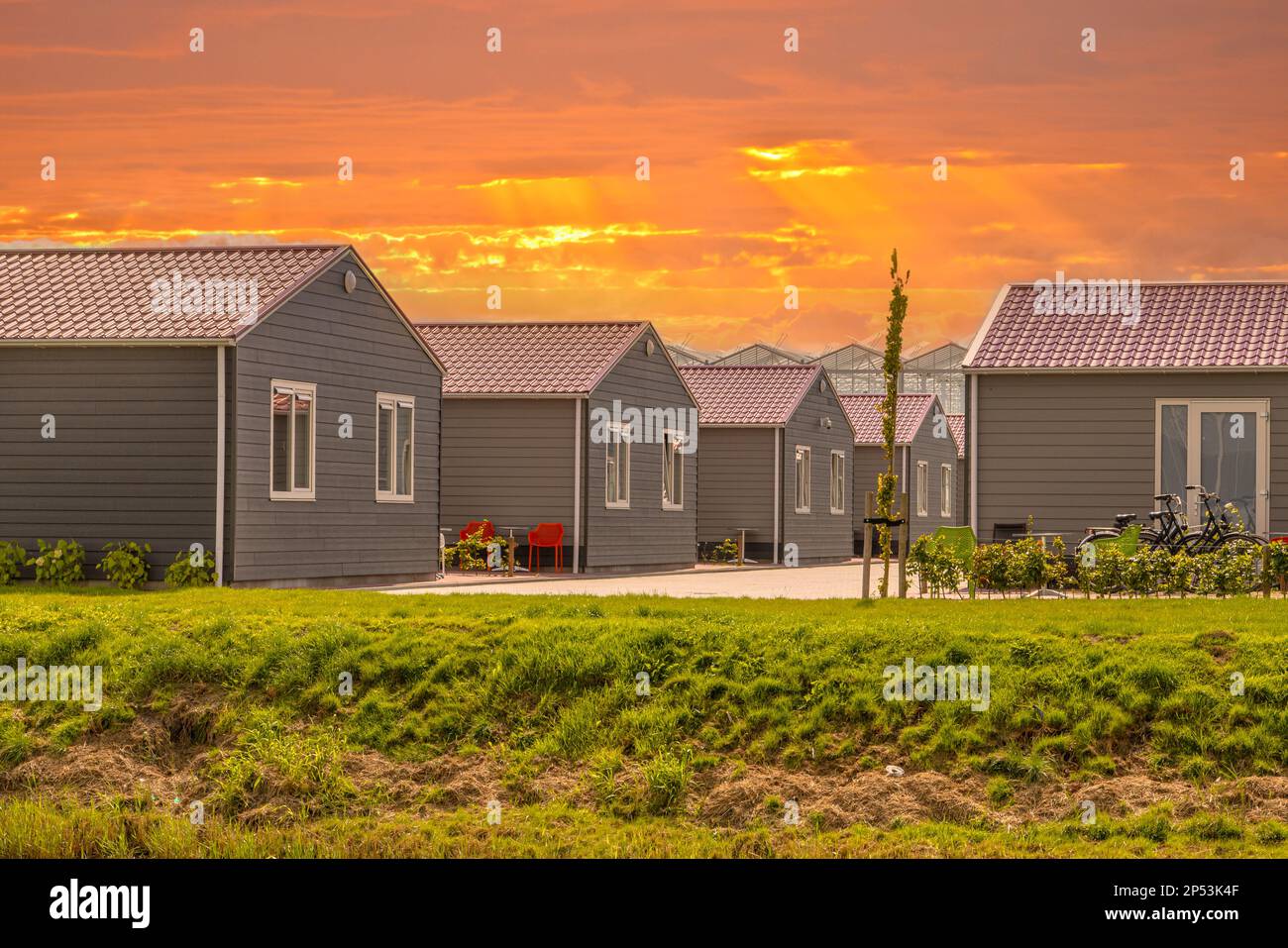 Housing for foreign workers in agriculture. Horticulture labour accomodation near greenhouse in the Netherlands. These houses are used by foreign work Stock Photo