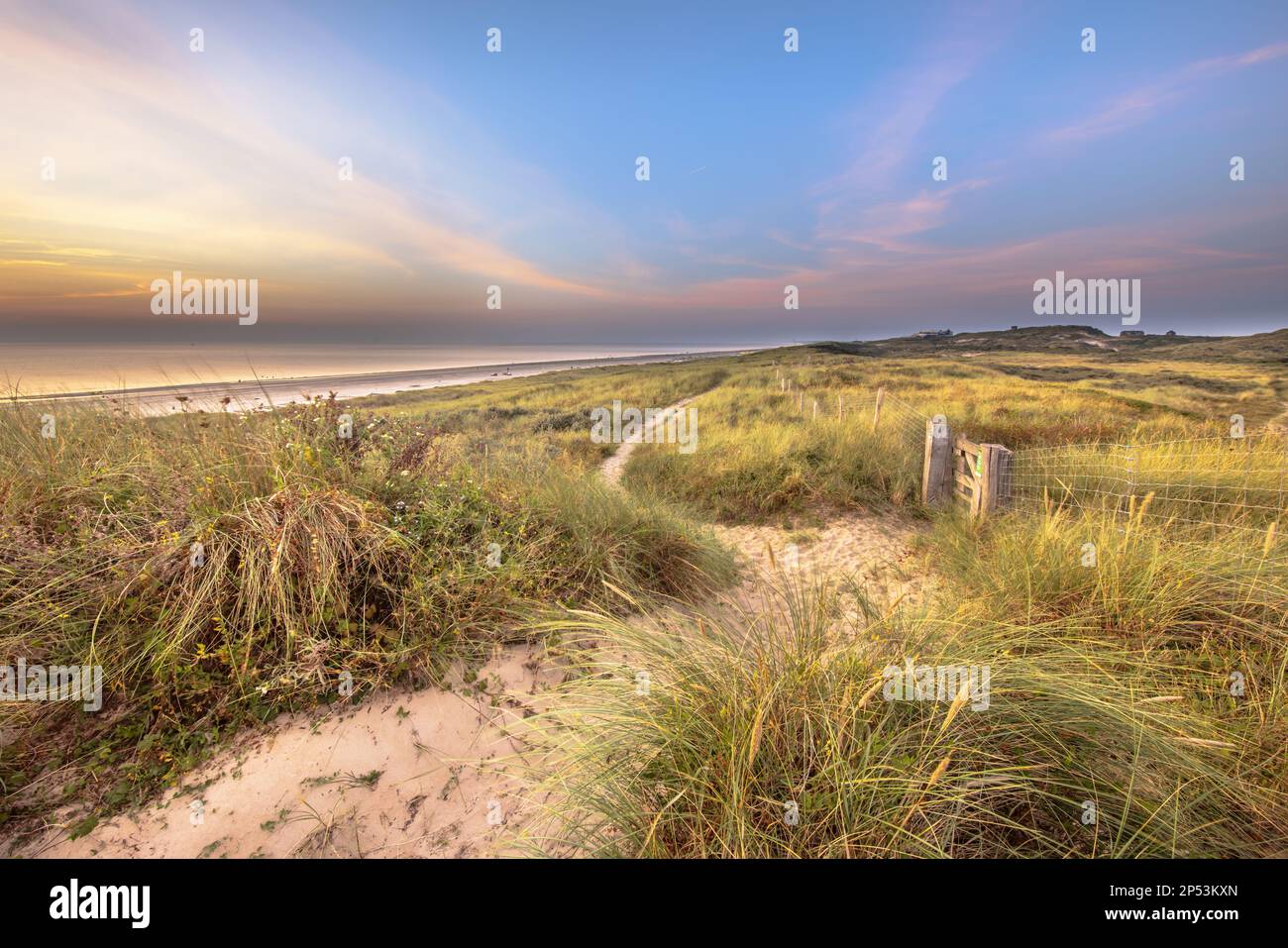 Trail through dune landscape on the coastline of North Sea. Wijk aan ...