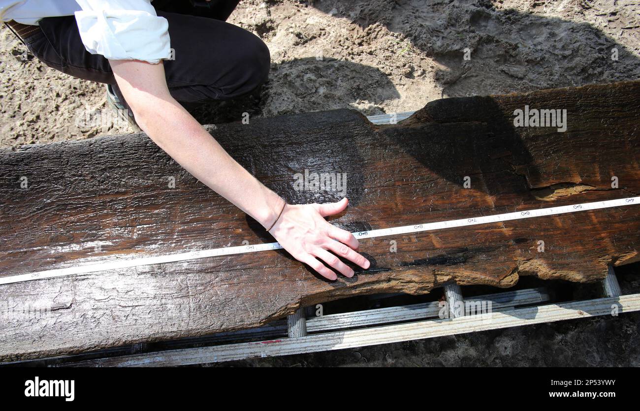 Julia Byrd, a senior archaeologist with the Florida Bureau of  Archaeological Research examines a burn mark on a dugout canoe found in  Owen Lake in the Ocala National Forest east of Ocala,