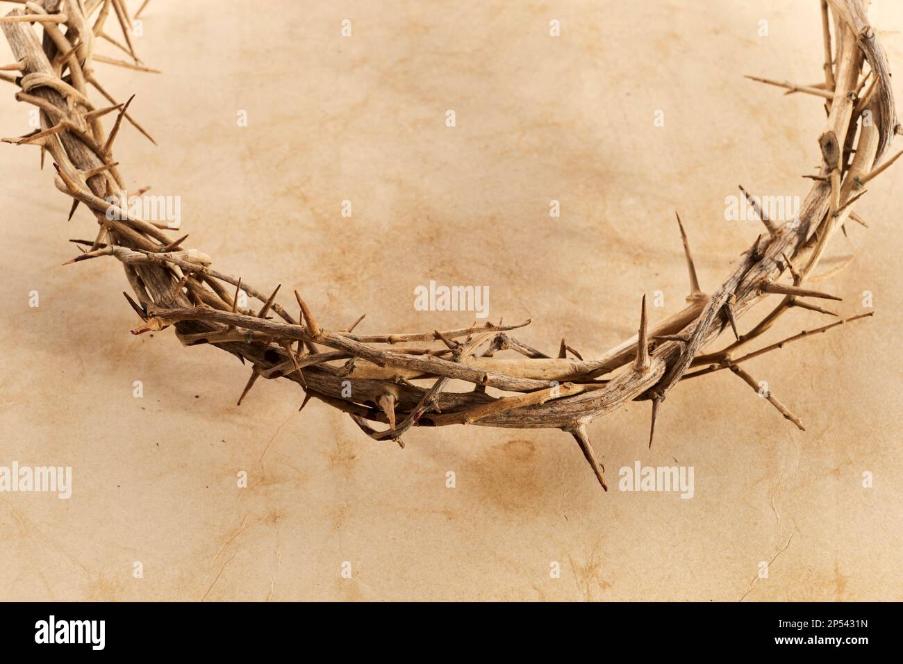 Crown Of Thorns On Vintage Paper Background Stock Photo - Alamy