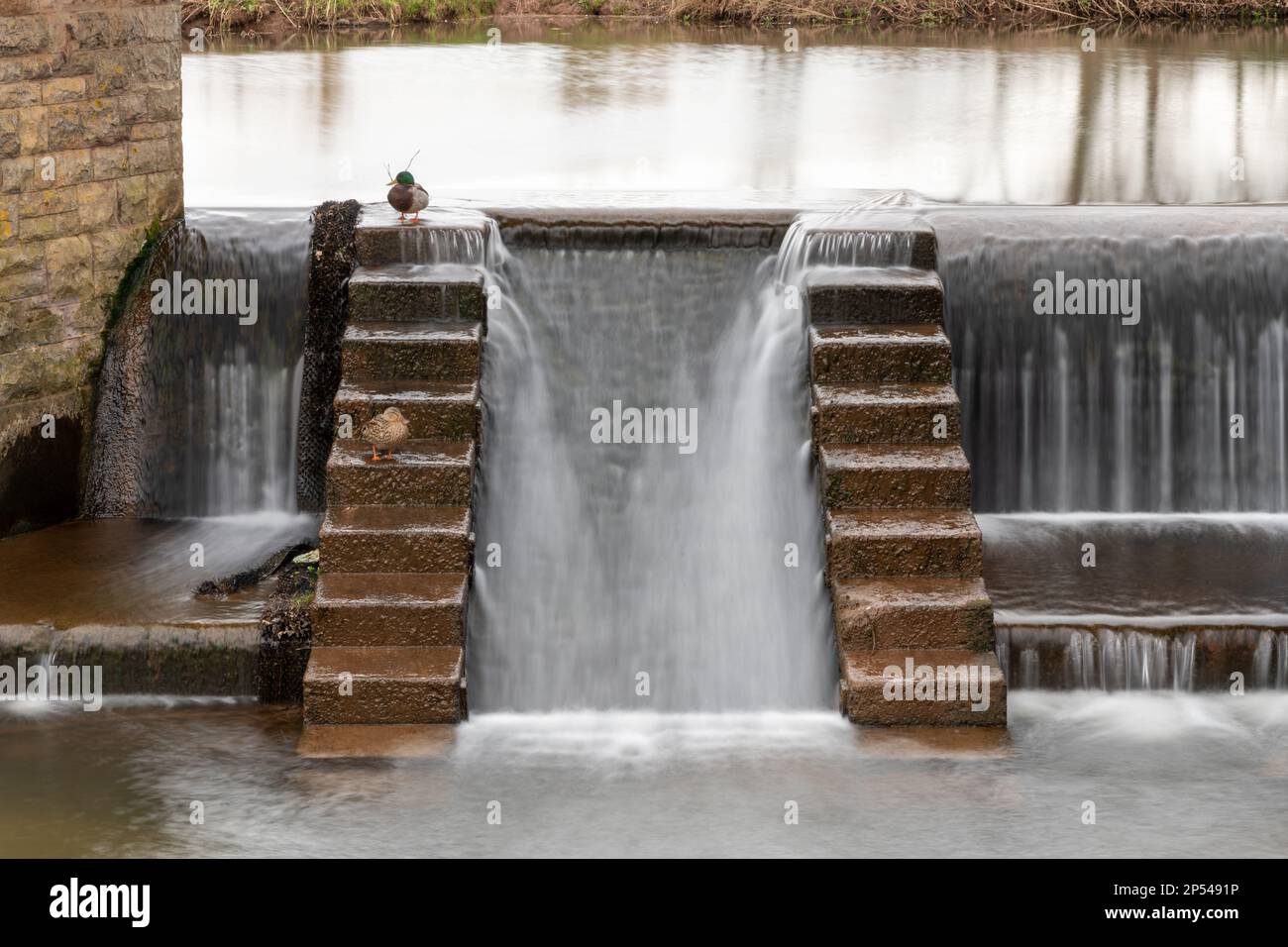 The river Tone flowing through French Weir in Taunton in Somerset Stock