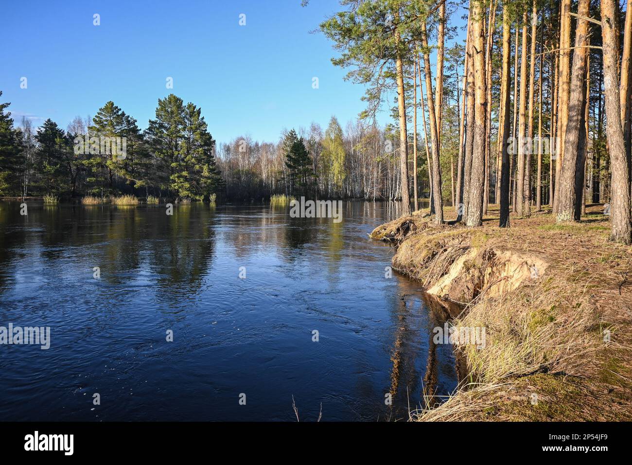 Spring in the national park of central Russia. Spring river landscape ...