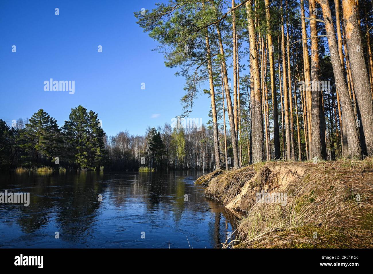 Spring in the national park of central Russia. Spring river landscape ...