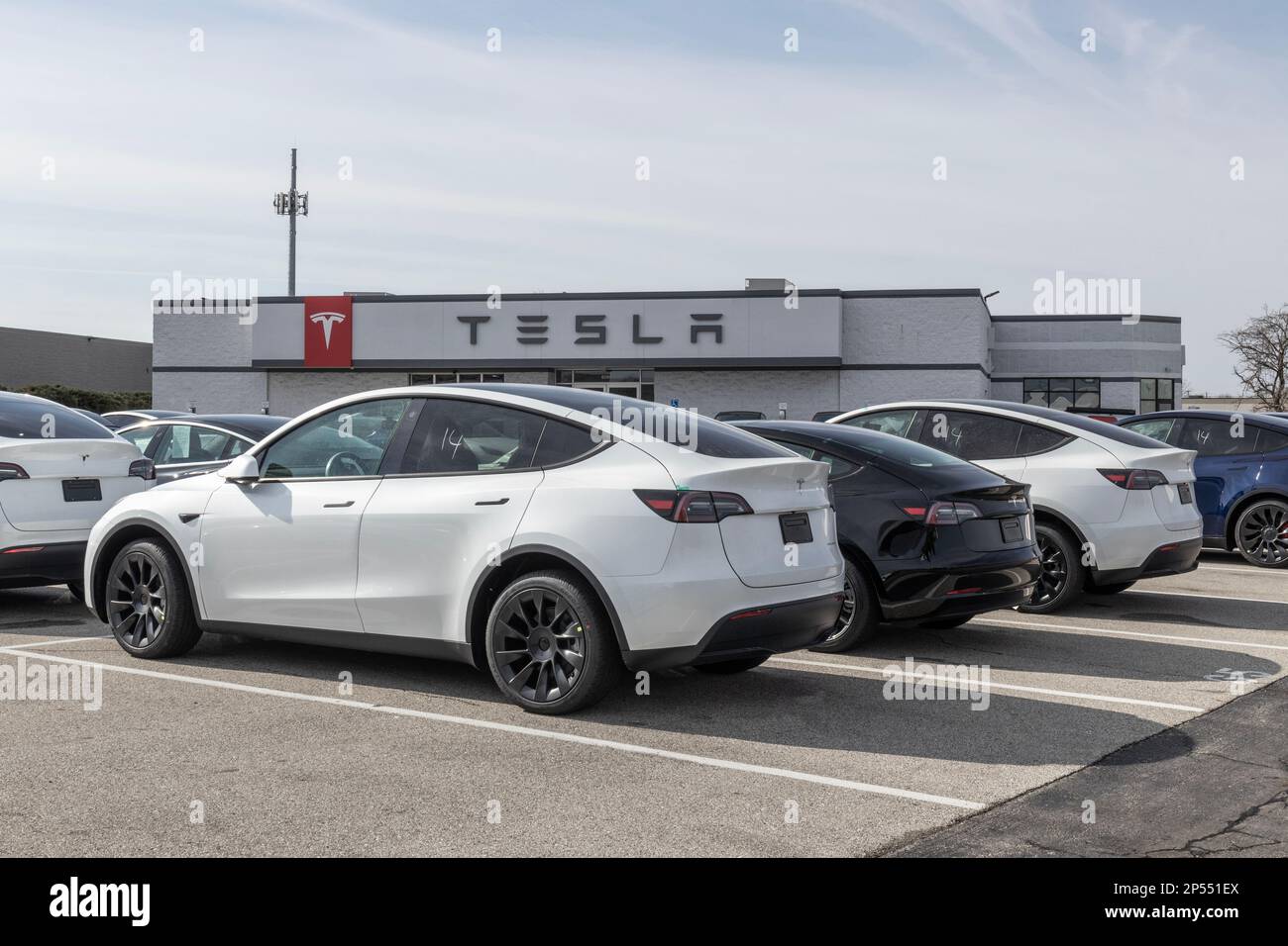 Indianapolis Circa March 2023 Tesla EV electric vehicles on display