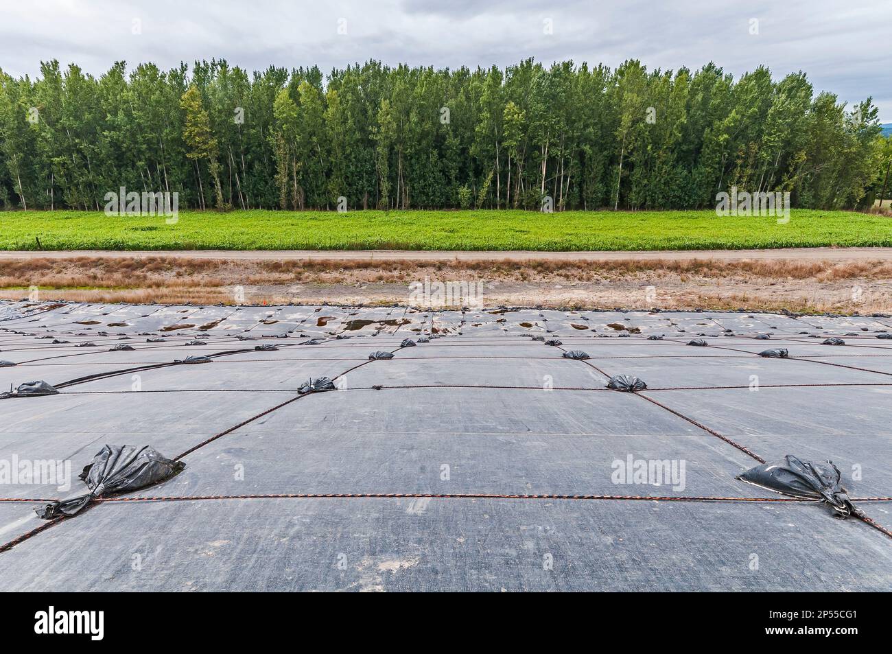 Weighted plastic sheeting covers a hillside in an active landfill.  Probably PVC geomembranes with a tree-line in the distance. Stock Photo