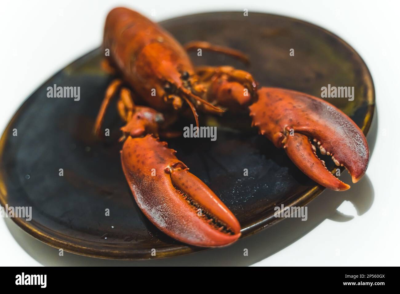 perfect dish for seafood lovers lobster. High quality photo Stock