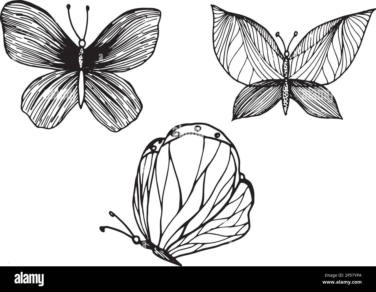 Set of decorative butterflies. Set of butterflies silhouettes isolated ...
