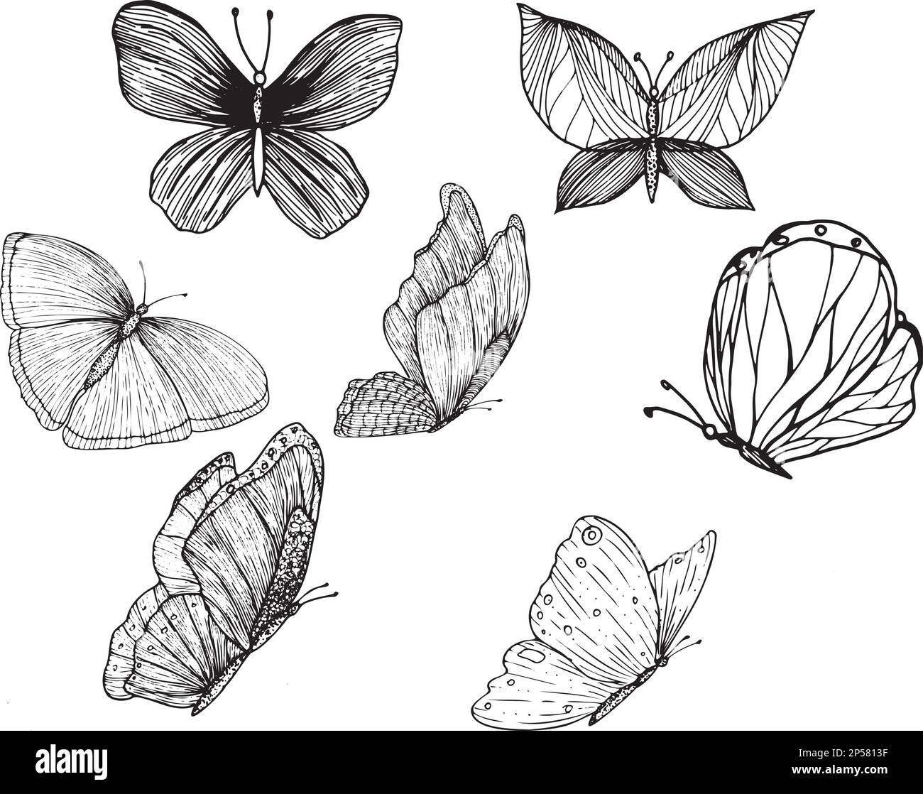 Set of decorative butterflies. Set of butterflies silhouettes isolated ...