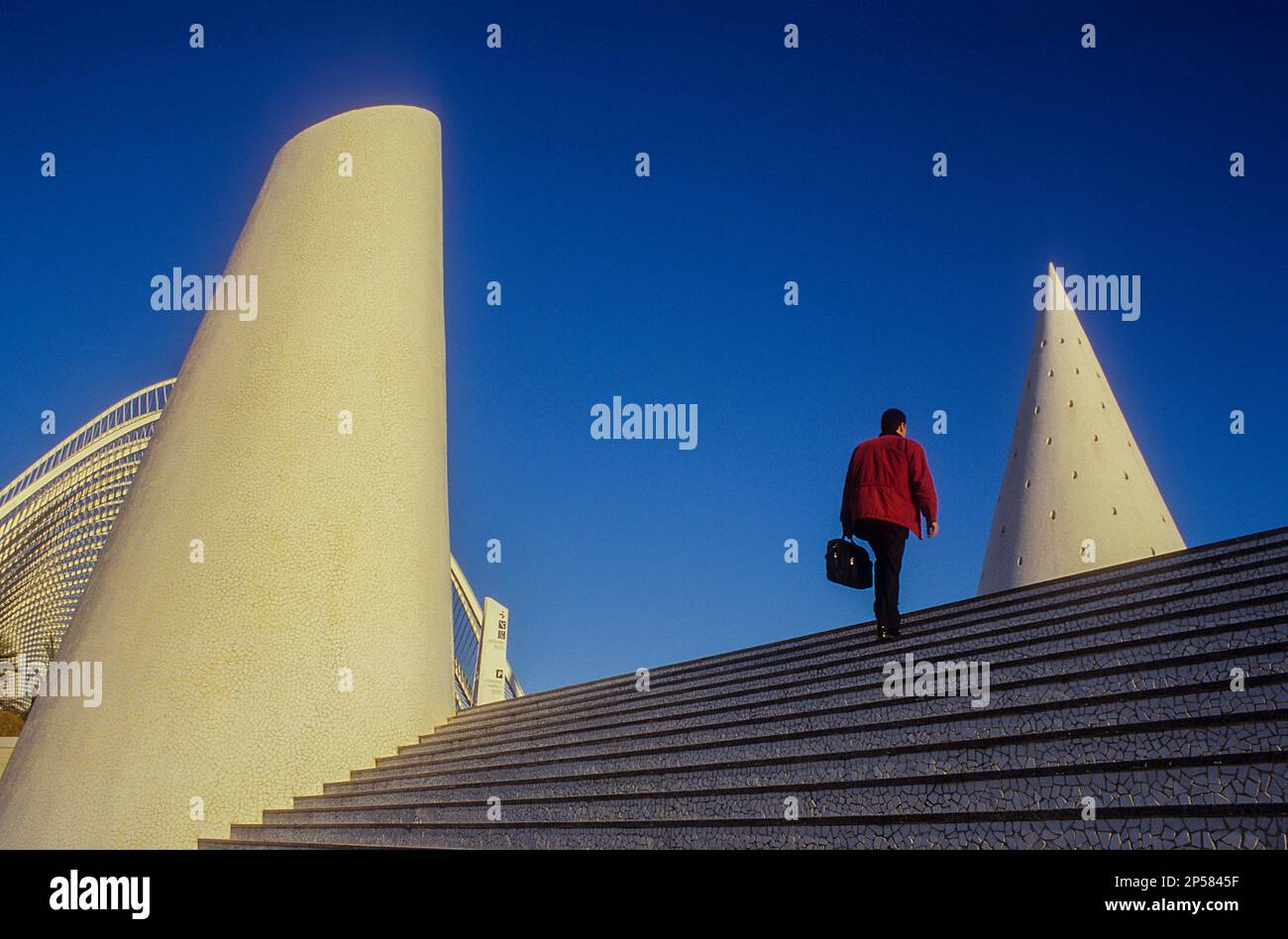 S calatrava sale