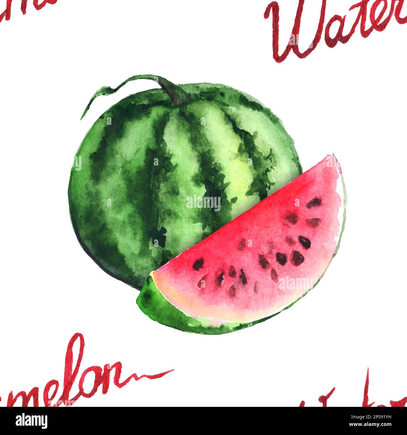 Watercolor watermelon and red slice seamless pattern vector. Stock Vector