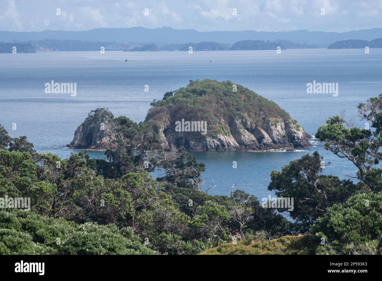 A pretty view of the coastline and pacific ocean from an offshore island near Auckland in Aotearoa New Zealand. Stock Photo