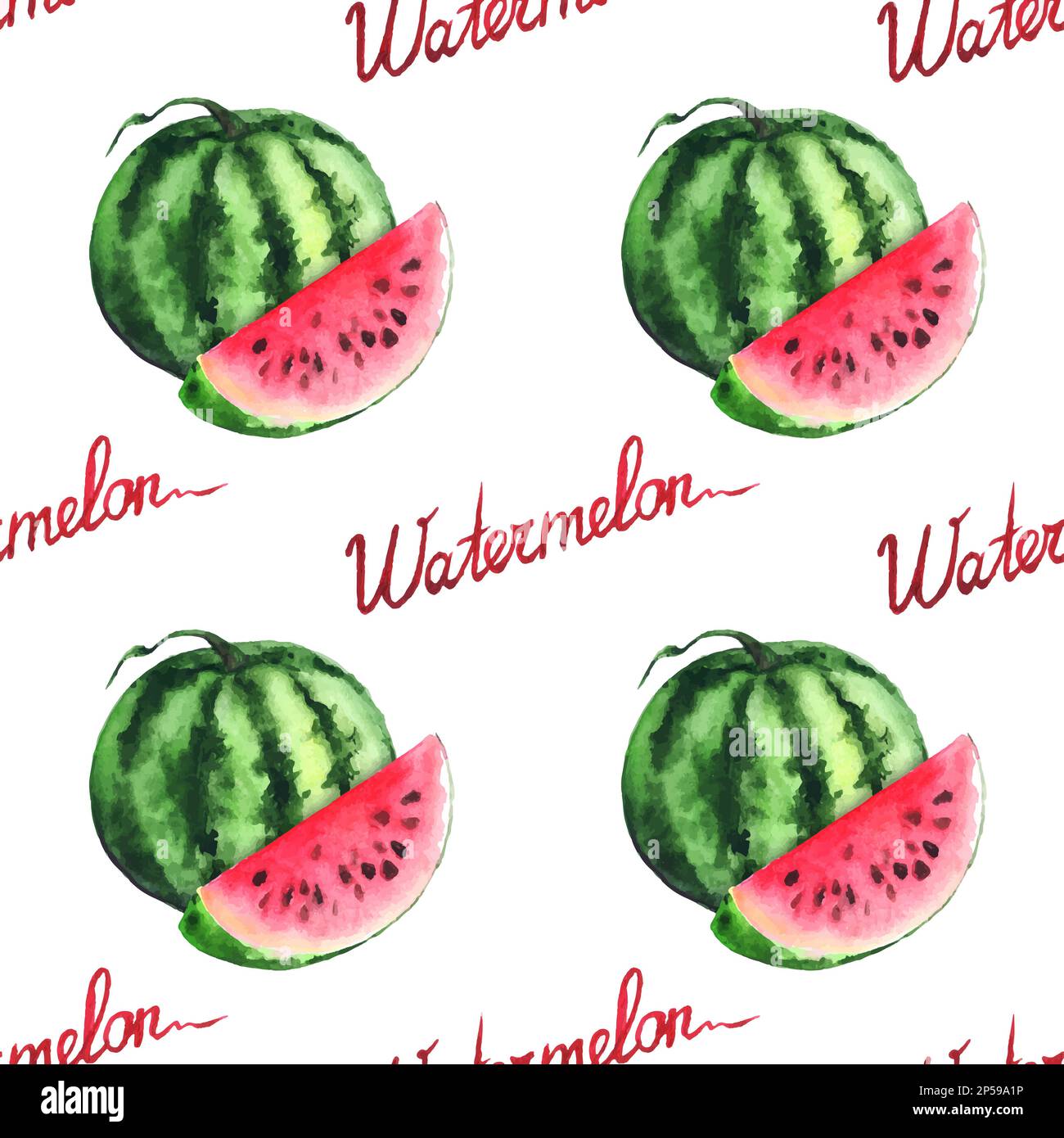 Watercolor watermelon and red slice seamless pattern vector. Stock Vector