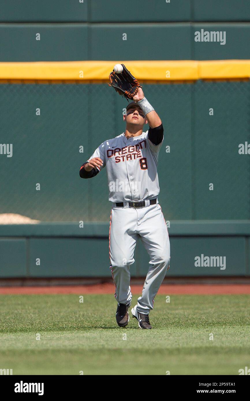 Mississipi conforto hotsell