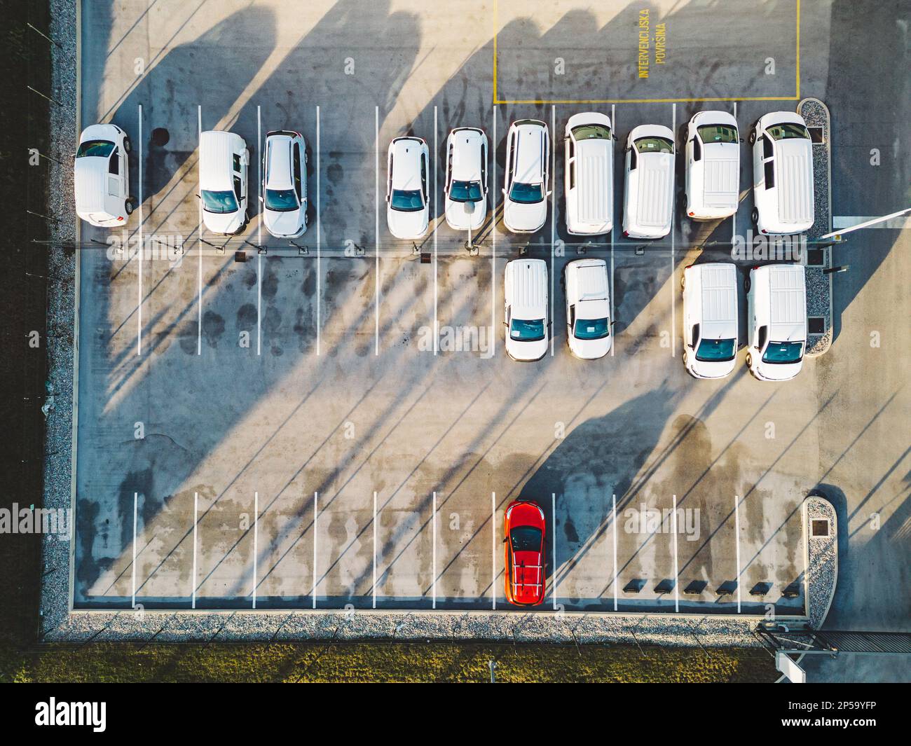 Generic Car Lot Of Cars
