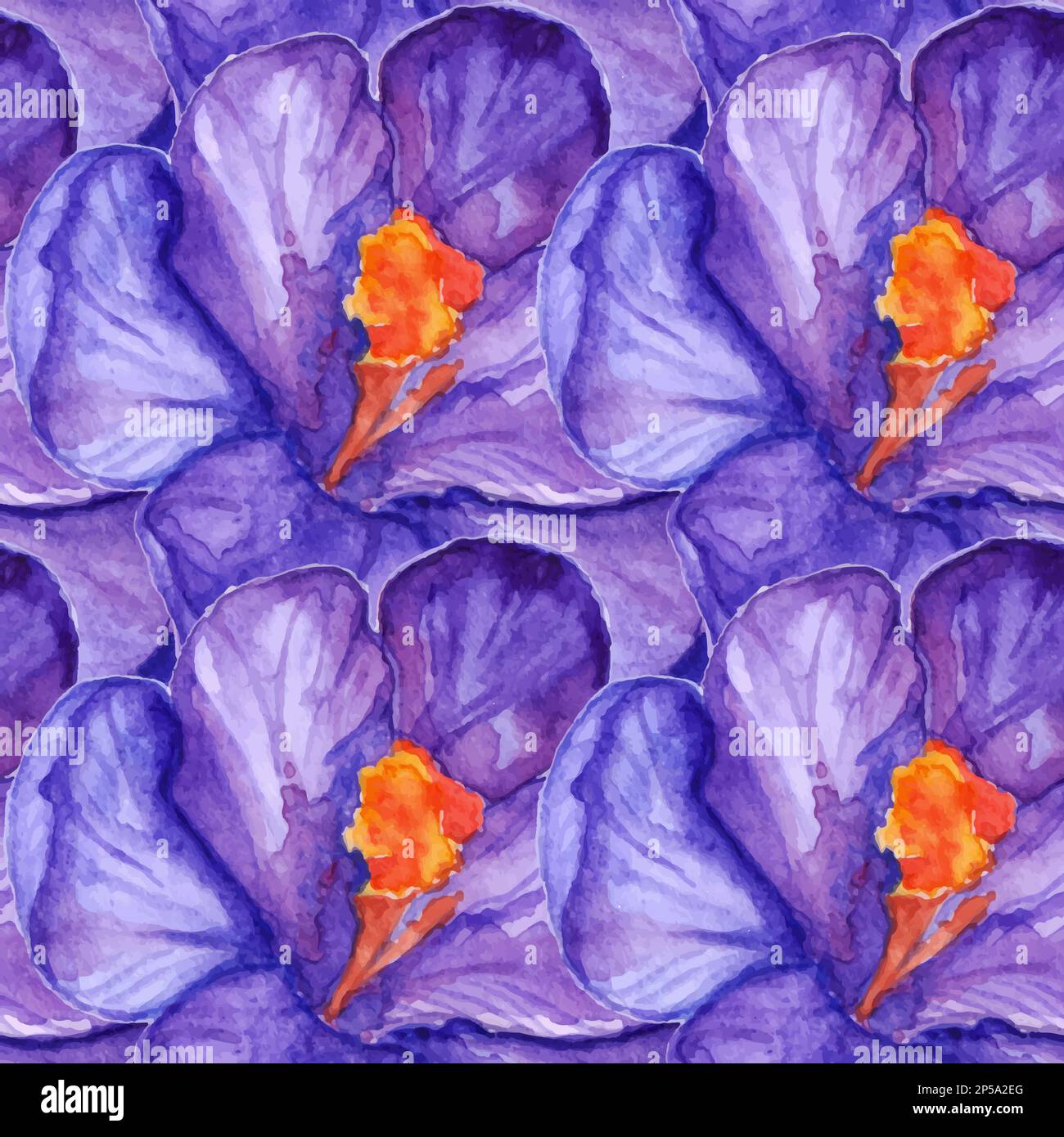 Watercolor violet purple crocus flower seamless pattern background vector. Stock Vector