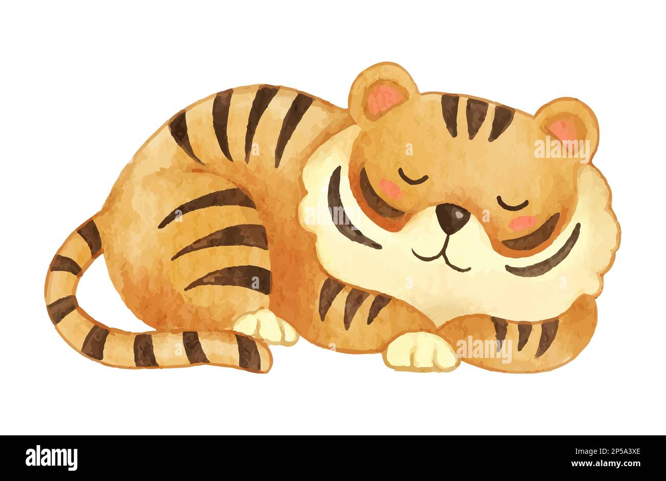 Tiger . Watercolor paint design . Cute animal cartoon character . Sleep position . Vector . Stock Vector