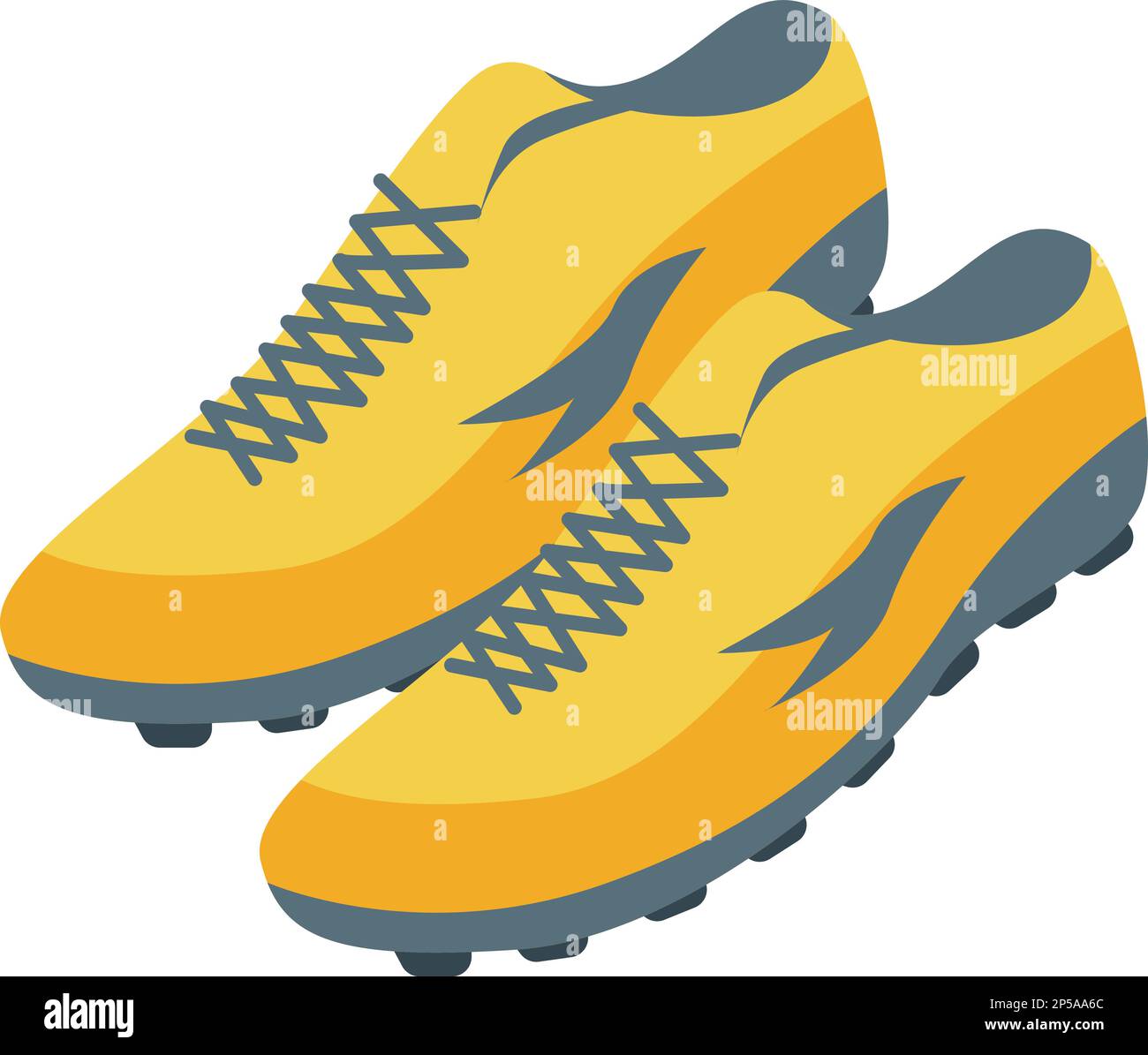 Referee shoes icon isometric vector. Sport man. Person rules Stock