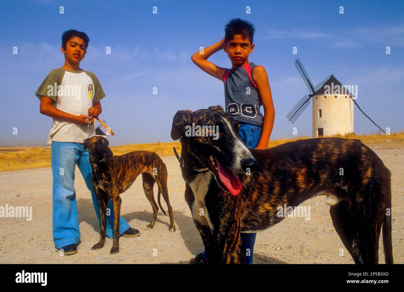 Greyhounds sales and children
