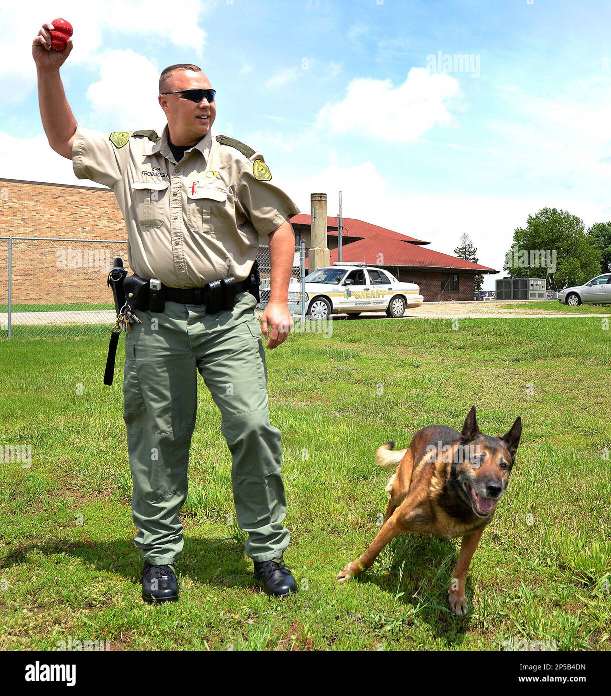 Todd's hotsell k9 training