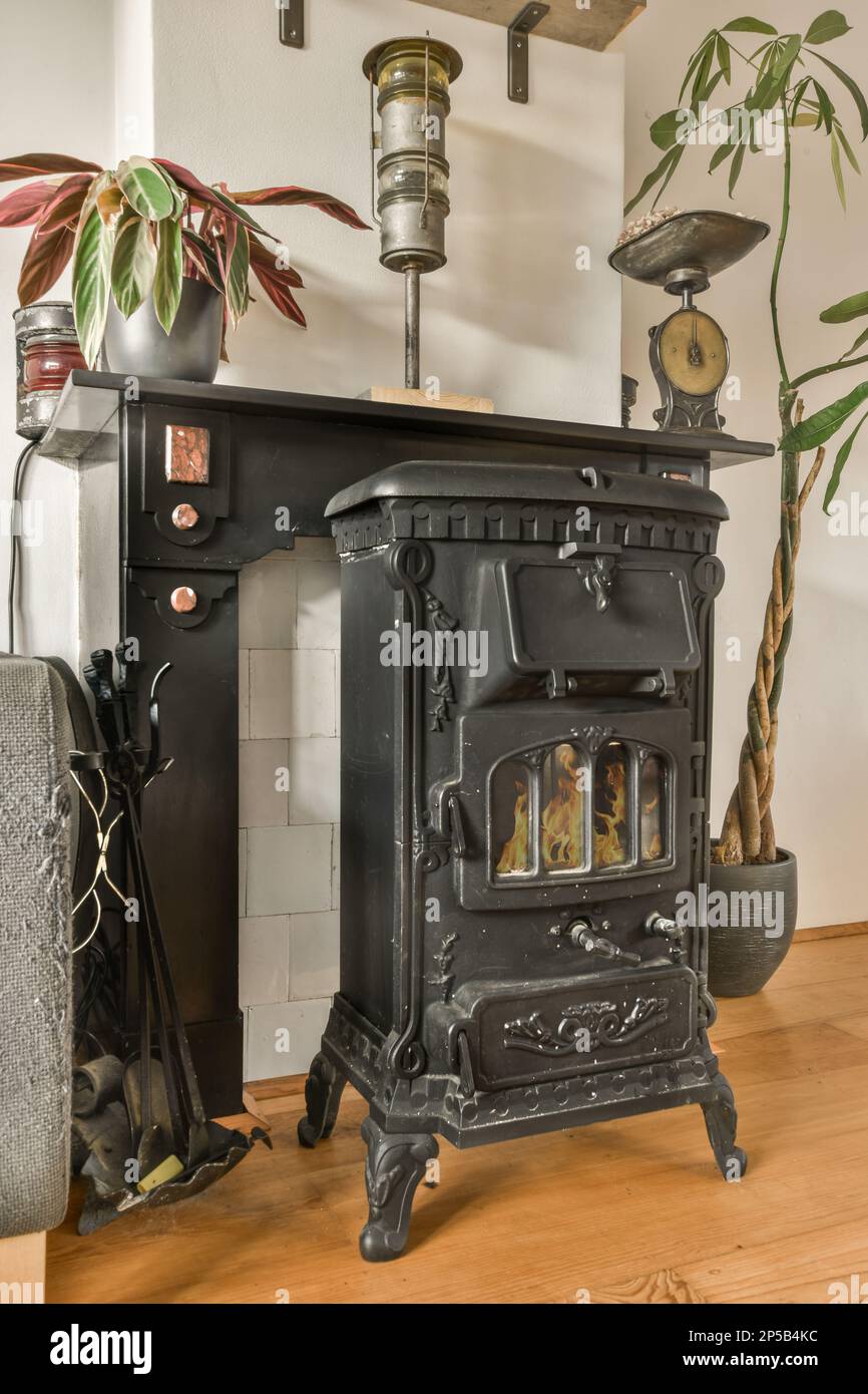 a wood burning stove in the corner of a living room with a plant and an