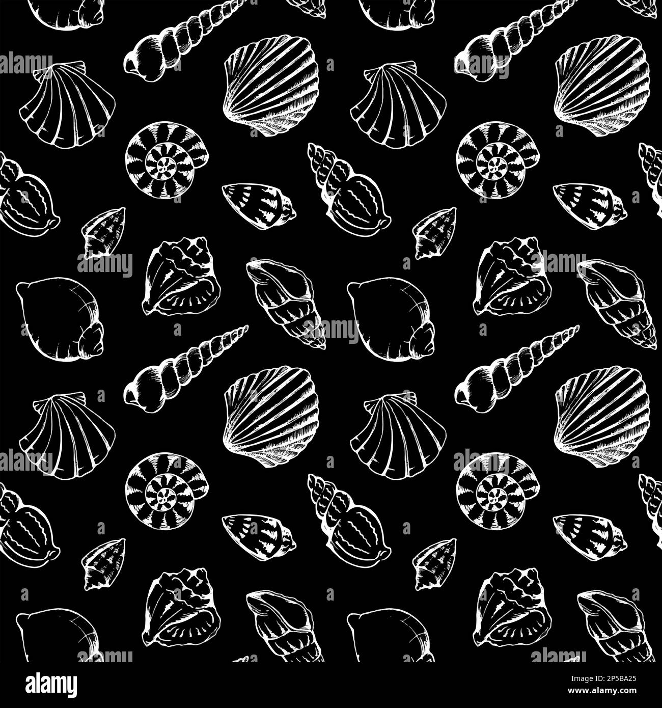 Monochrome sea shells vector seamless pattern texture background Stock ...